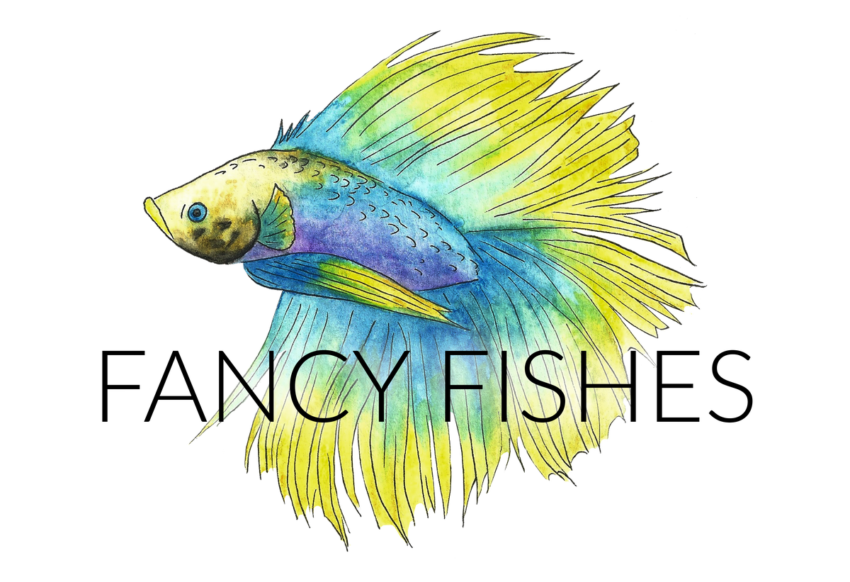 betta-and-tropical-fish-fancy-fishes